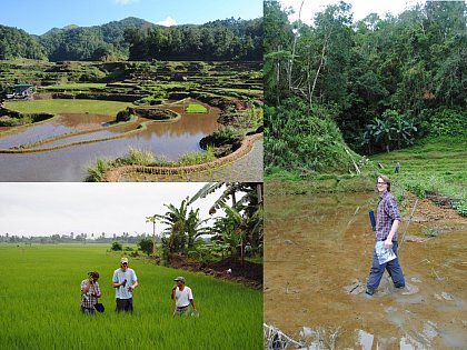 Sampling of paddy soils in the Philippines 